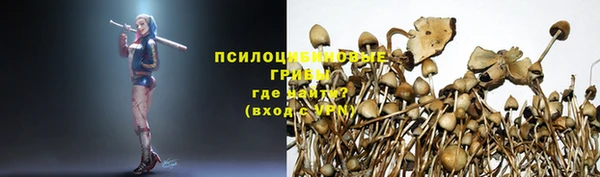 а пвп мука Аркадак