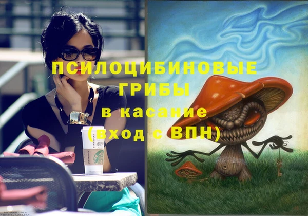 таблы Армянск