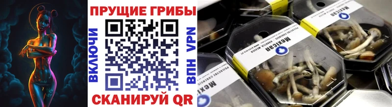 Галлюциногенные грибы прущие грибы  где купить   Белокуриха 